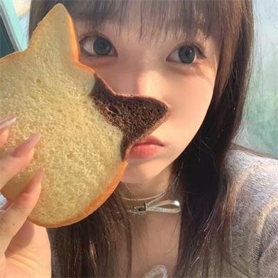 动物之爱
